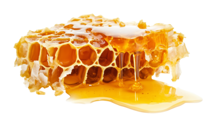 honeycomb dripping with honey isolated on transparent background