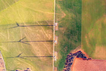 Overhead view with wind turbines forming a vertical line across colourful fields, with long shadows over a blend of green and brown fields stretching sideways,  Green Technology, Wind Power, Spain