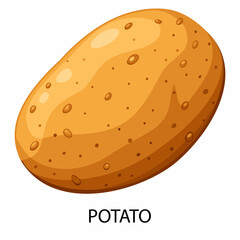 Potato in cartoon style on a white background. Vector illustration.