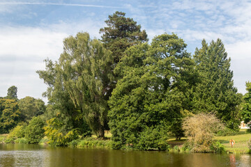 Natural Parkland near Farnham Surrey