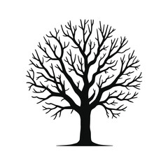 Obraz premium Winter tree silhouette