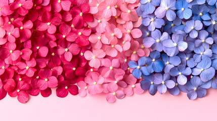 Colorful arrangement of pink and blue flower petals on a soft pink background showcasing vibrant nature's hues in springtime