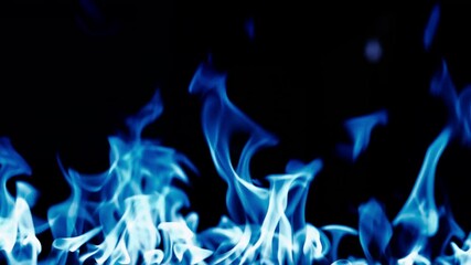 Gas burns with a bright blue flame. Blue fire is burning. Slow-motion video of bright blue flames against a black background. A wall of real fire with an abstract background. Super-slow motion video