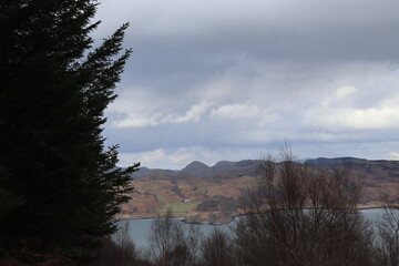 scottish nature