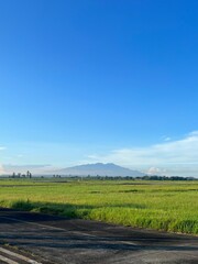 Obraz premium landscape with mountain and fields