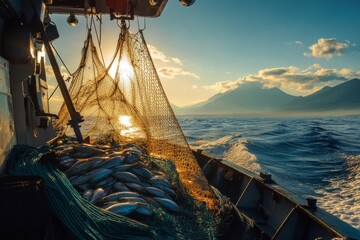 fishing boat in net fish catch