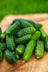 Freshly picked green cucumbers on the board background