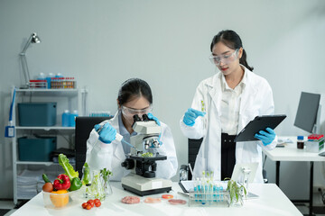 Molecule Samples in Modern Food Science Laboratory, Control experts inspect the concentration of...