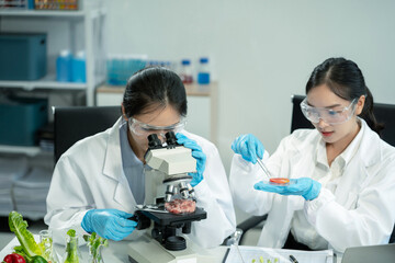 Molecule Samples in Modern Food Science Laboratory, Control experts inspect the concentration of chemical residues. hazards, standard, find prohibited substances, contaminate.