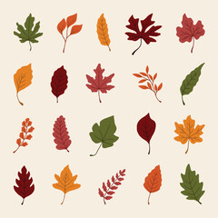 Obraz premium set of autumn leaves vector