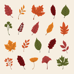 set of autumn leaves vector