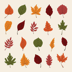 Fototapeta premium set of autumn leaves vector