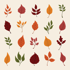 set of autumn leaves vector