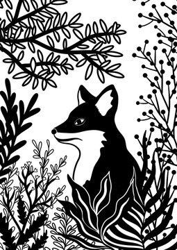 FOX FOREST