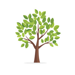 Tree with green leaves