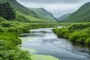 A Serene River Winding Through Lush Green Valley, A Tranquil Escape From Reality.
