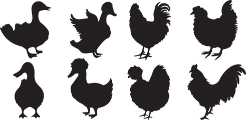 set of silhouettes rooster and chicken vector art