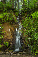 日本　長野県長野市にある戸隠神社の中社のさざれ滝
