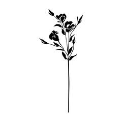 Lisianthus Black and white silhouette. Botanical Black silhouette isolated on white background