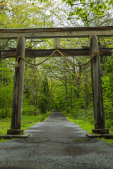 日本　長野県長野市にある戸隠神社の奥社の大鳥居と参道