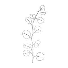 Eucalyptus silver dollar or baby blue branch branch continuous line drawing. Black and white Floral Bouquets. Flower Coloring Page. Floral Line Art. Fine Line Lilies illustration. Hand Drawn flowers. 