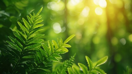 A close-up of forest conservation educational materials, such as brochures or posters, with a minimalist background and plenty of copy space for conservation tips and information.