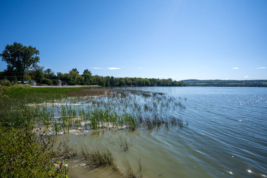 Lake Carmi shoreline in northern Vermont.