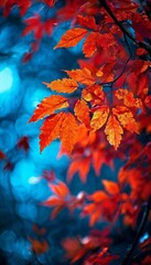 close up tree with red leaves