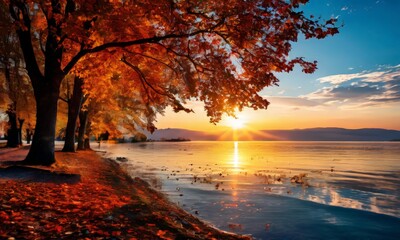 tree with orange leaves