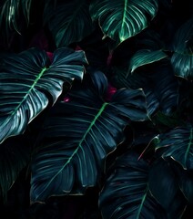 Fototapeta premium monster leaves wallpapers by the
