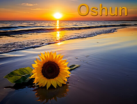 Ofrenda de Girasol para Oshun en la orilla del mar al atardecer