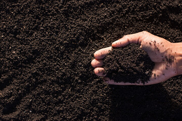 The fertile soil in the hands of a farmer is suitable for cultivation.