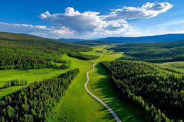 Fototapeta premium Aerial view, evening light, long shadows in the forest create a dramatic effect across the landscape