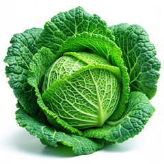 Fototapeta premium Close up of lettuce on white background