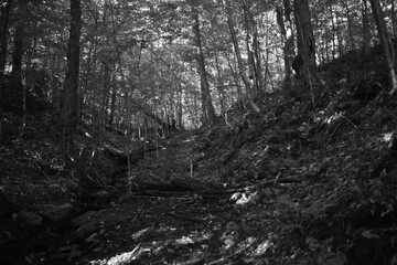 Mont Foster 5 Septembre 2024 - N&B