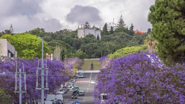 Beautiful Blue Jacaranda blooming in Lisbon street with monument in Jardim Ducla Soares timelapse. At Avenida Torre de Belem with traffic on avenue and clouds on the sky. Portugal