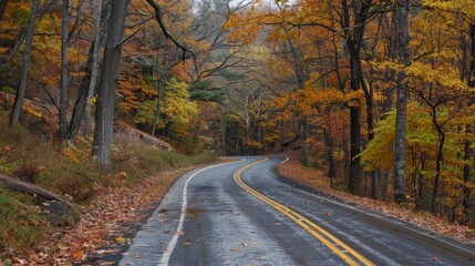 A road with trees on both sides and leaves on the ground