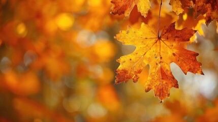 A leaf is shown in a close up, with the background being a blurry orange