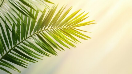 Fototapeta premium A palm branch icon, symbolizing Palm Sunday and the triumphal entry of Jesus.