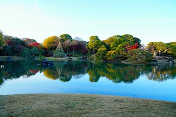 Naklejka premium 秋の庭園