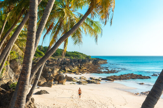 A person walks alone on a secluded tropical beach surrounded by palm trees, rocky cliffs, and clear turquoise water under a bright blue sky