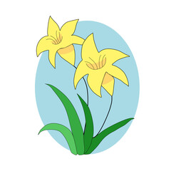 yellow lily flowers. Isolated yellow flower branch with green leaves. Single flower. Blue background. Vector. Hand draw flower