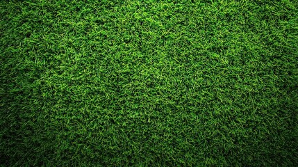 Fototapeta premium Vibrant green grass surface with a lush texture, perfect for landscaping, gardening, and outdoor activities.