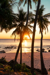 Sunset on tropical beach with palm trees silhouettes and shining sun. summer background and summer holiday concept.