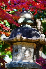 もみじと石灯籠