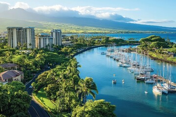 Tropical Harbor with Boats and Palm Trees