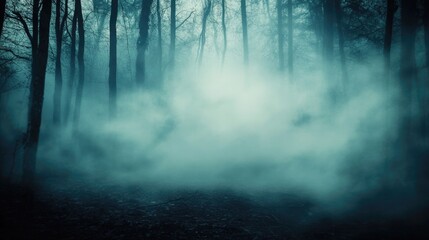 Naklejka premium A forest with fog and mist
