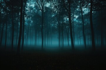 Obraz premium A dark forest with foggy trees and a misty atmosphere
