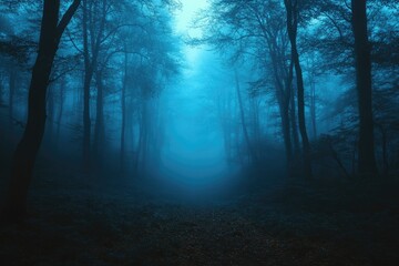 Fototapeta premium A forest is shown in the dark with foggy mist