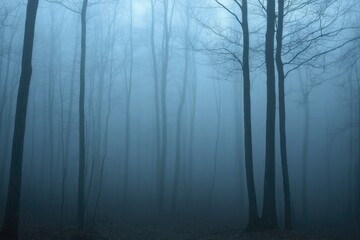 Obraz premium A forest with foggy trees and a misty sky